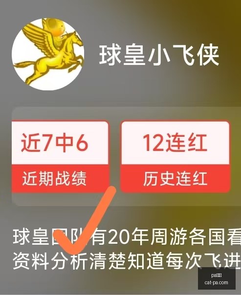 美洲球队连,一关键环节,重大风险,PA真人官网,PA真人优惠,PA真人对比,PA真人平台,PA真人娱乐,PA真人登录,PA真人下载,PA真人体验