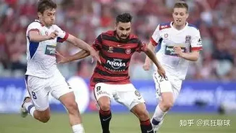 pa真人 资讯 100946 tam