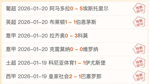 中国荷球运动：亚洲荷球联副主席展望发展态势