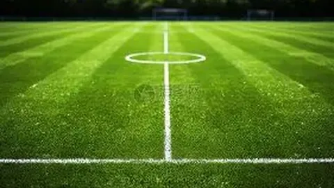 中国女子冰壶队成功实现三连霸