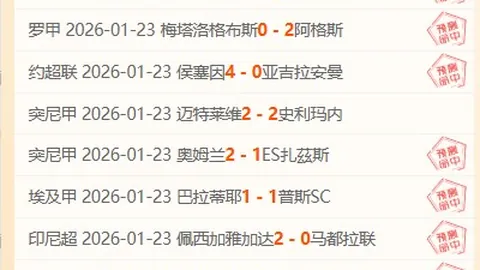 揭秘！澳超劲旅12胜8负藏危机，关键一环暴露致命弱点！