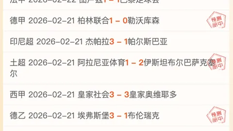 切尔西未来重点培养对象锁定恩佐与马雷斯卡